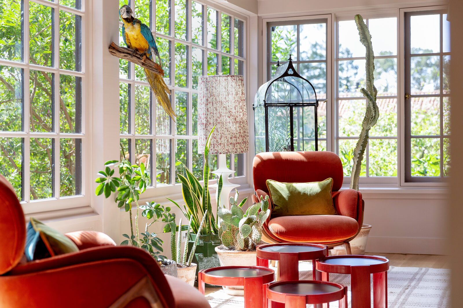 224 Mountain Avenue — sunroom with parrot and orange chairs